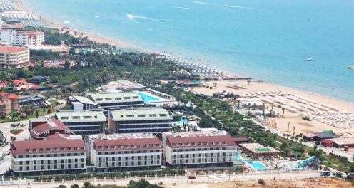 Trendy Verbena Beach