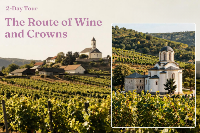 The Route of Wine and Crowns