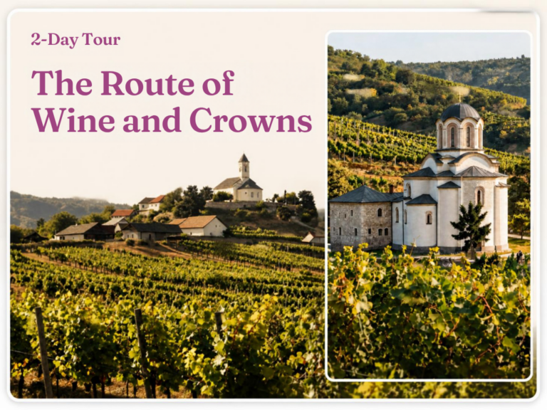 The Route of Wine and Crowns